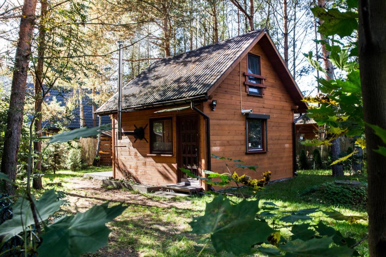 Domek Pod Klonem Zary  Esterno foto
